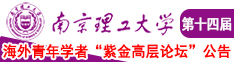 搜索词南京理工大学第十四届海外青年学者紫金论坛诚邀海内外英才！